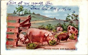 Hogs and Cabbages, Excuse Haste and Bad Pen Humor c1909 Vtg Postcard I47