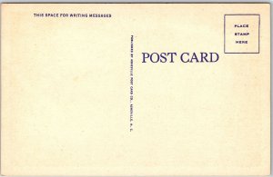 Virginia VA, On The Scenic Skyline Drive, Driveway, Mountain, Vintage Postcard