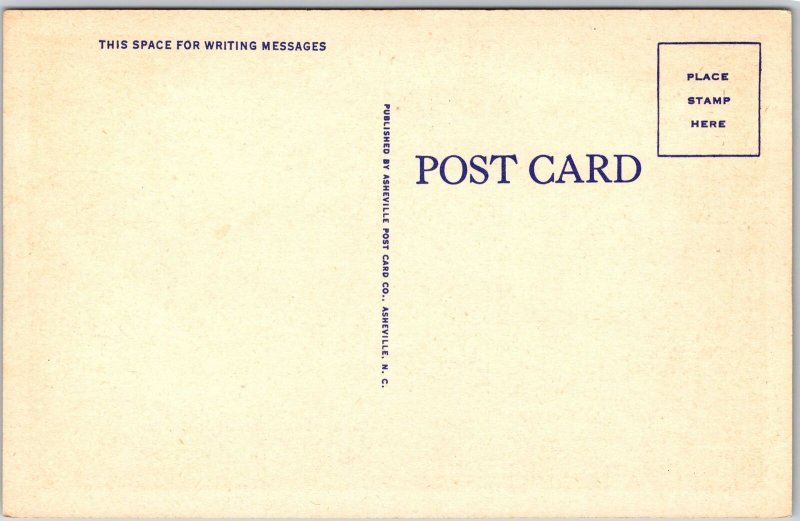 Virginia VA, On The Scenic Skyline Drive, Driveway, Mountain, Vintage Postcard