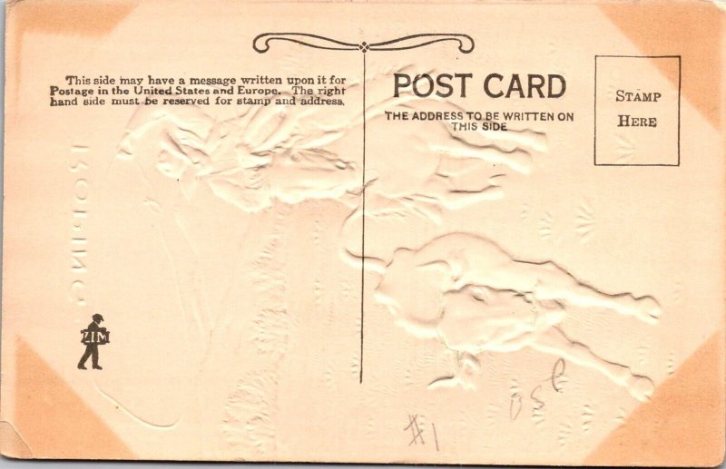 Embossed, Cowboy Roping Cow Hand Painted Vintage Postcard U64