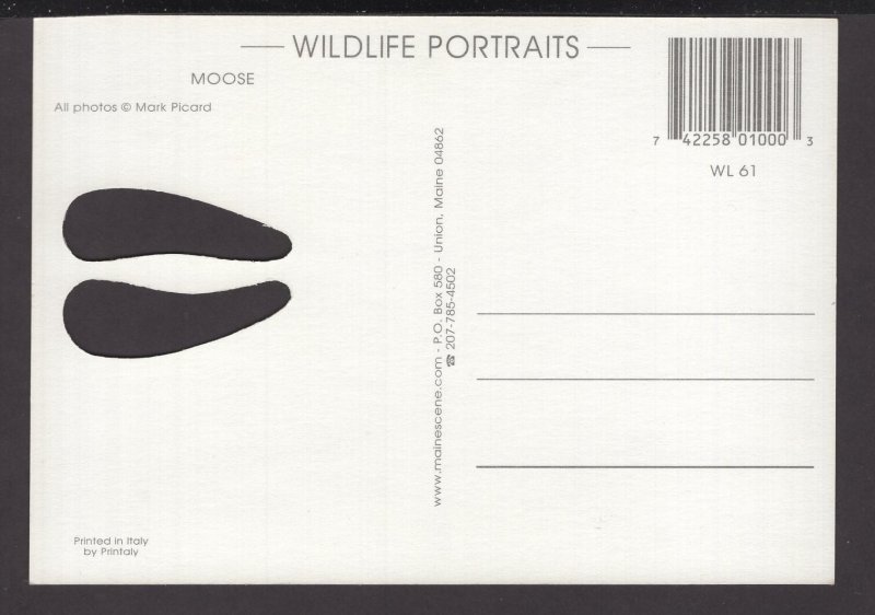 MOOSE with cut-out paws print - Cont'l