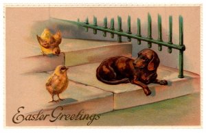 Dog  Dog  and Chick , Easter Greetings