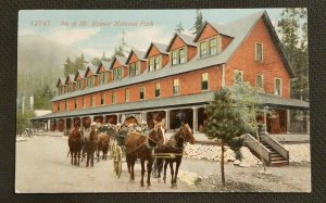 Hand Colored Vintage Illustrated Postcard Inn at Mount Rainier National Park