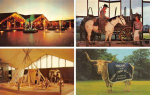 4~Postcards OK Oklahoma City COWBOY HALL OF FAME Night~Indians~Mascot Abiline+