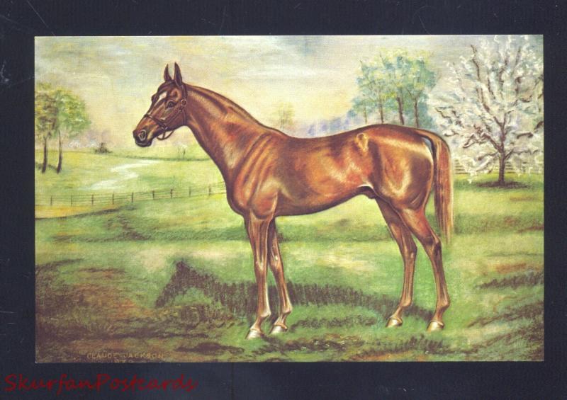 HORSE RACING THOROUGHBRED RACE HORSE MAN O WAR VINTAGE HORSES POSTCARD