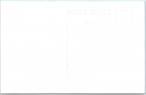 c1940s Petrified Forest, AZ Rainbow Forest Trail Old Faithful Log Postcard A29