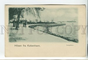 460757 Denmark Greetings from Copenhagen Vintage postcard