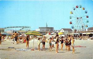 Wildwood-By-The-Sea NJ Beach Roller Coaster Ferris Wheel Swim Suits Postcard