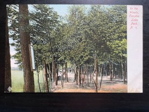 Vintage Postcard 1901-1907 In the Woods Canobie Lake Park Salem New Hampshire NH