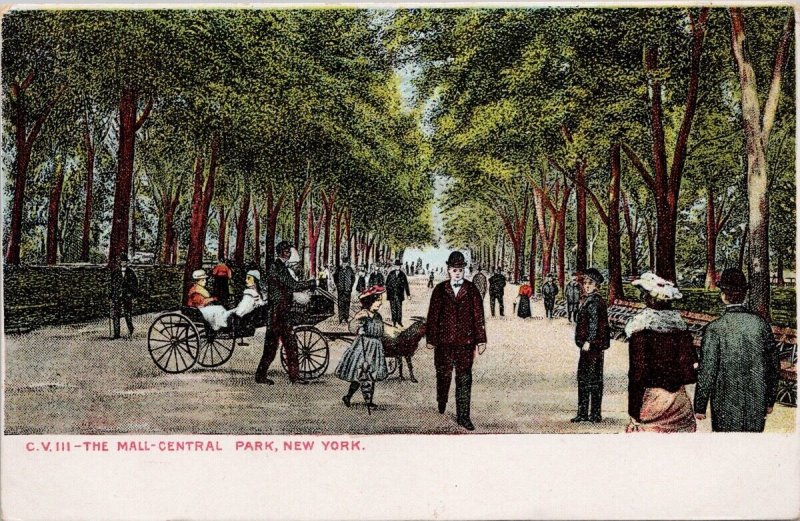 The Mall Central Park New York NY NYC Unused Postcard H27 