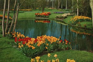 Postcard Lisse-Holland Keukenhof Botanical Garden Of Europe Lisse Netherlands