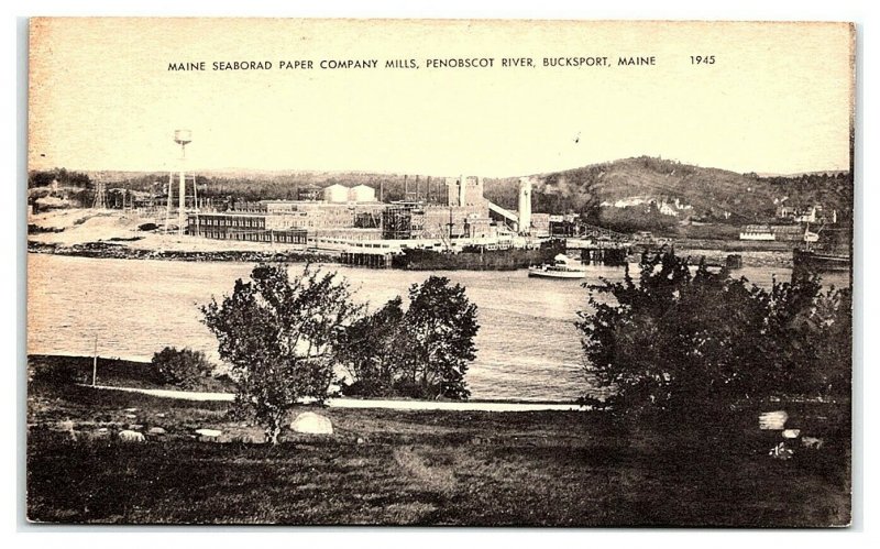 Maine Seaboard Paper Company Mills, Penobscot River, Bucksport ME Postcard *7C18