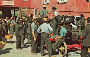 Postcard Greetings From The Amish Country Posted 1981