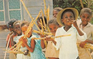 HAPPY BAAJANS SUGAR CANE BARBADOS WEST INDIES BLACK AMERICANA POSTCARD (1960s)