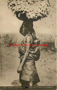 West Africa, Woman in Native Costume with Cotton Going to Market