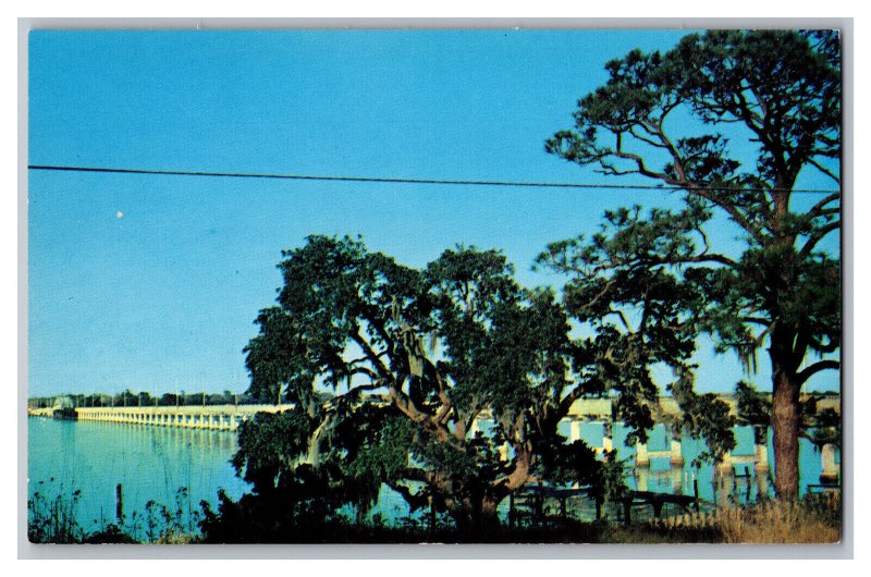 Postcard MS Bridge Crossing Back Bay Biloxi Mississippi