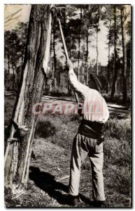 Lalande - The Resinier at Work - Old Postcard