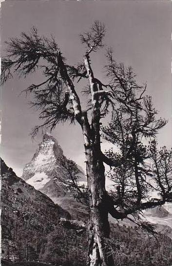 Switzerland Zermatt Matterhorn Real Photo