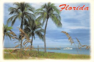 Lot 11 usa florida a tropical paradise for  fun sport relaxing ship