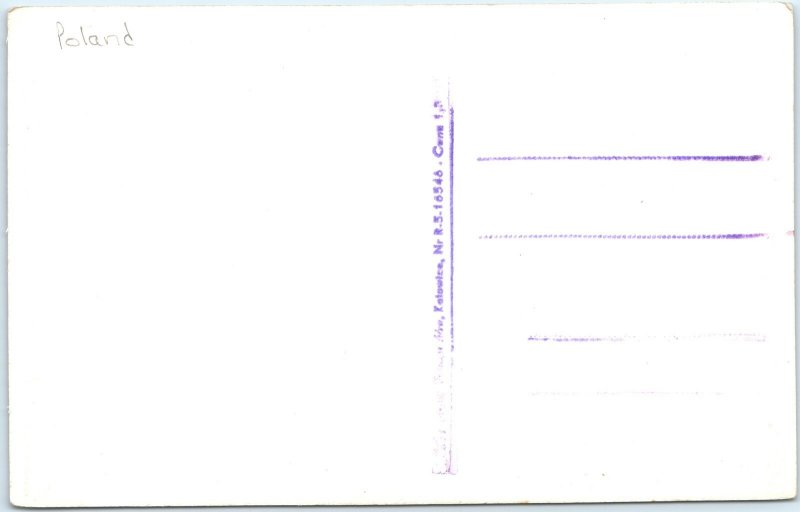 c1920s Gory Stolowe, Poland RPPC Wodospad Waterfall Forest Stream Bridge A347