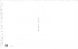 G91/ Dressed Cats Alfred Mainzer Postcard c1940s Dance Party Band34