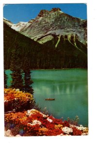 Michael Peak, Emerald Lake Field, British Columbia Used