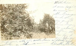 Postcard RPPC California Exeter man Orange Grove 1915 23-7133