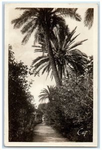 c1930's Bizot Garden Alley Of Roses Algeria Unposted RPPC Photo Postcard