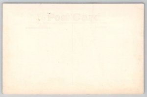 Tomah WI Beautiful Deer In Forest Wisconsin RPPC Postcard T26