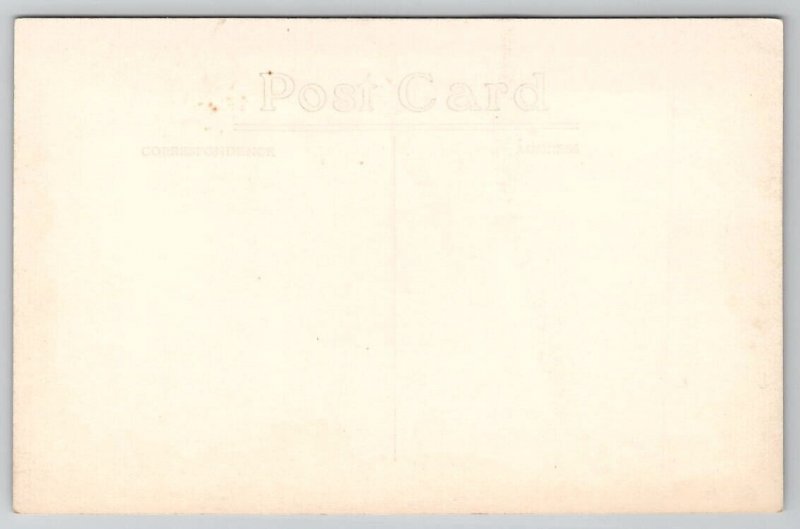 Tomah WI Beautiful Deer In Forest Wisconsin RPPC Postcard T26