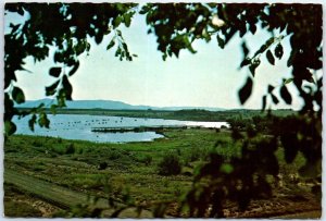 Postcard - South Boat Dock, Conchas Dam - New Mexico