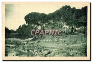 Carqueiranne - Les Pins - Old Postcard