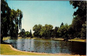 Postcard WATER SCENE Sacramento California CA AO1861