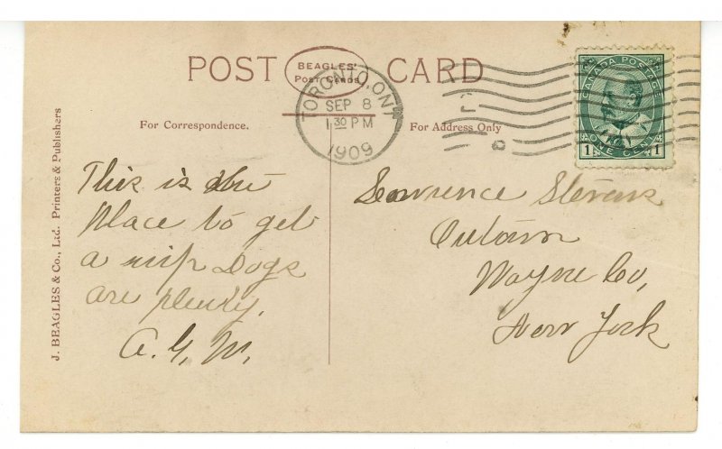 Toys  Five Pups     *RPPC