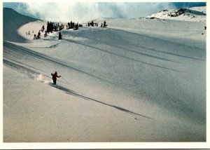 Canada Rockies Yoho National Park Powder Skiing In The Little Yoho Valley