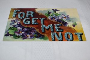 Forget Me Not Greetings Embossed Postcard Printed in Germany