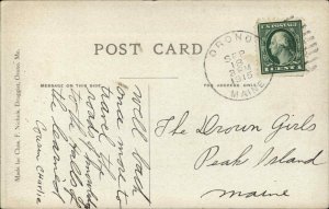 Orono Maine ME The Ferry c1910 Vintage Postcard