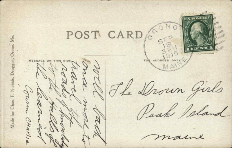 Orono Maine ME The Ferry c1910 Vintage Postcard