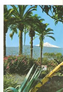 Postal 024274 : El Teide (Canarias). El Volcan visto desde Puerto de la Cruz