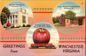 Greetings from Winchester VA Multi View, Exaggeration Vintage Postcard P79