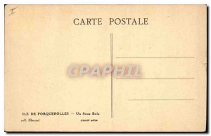 Old Postcard Porquerolles A Sous Bois