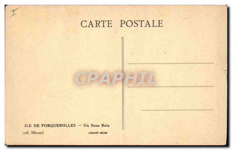 Old Postcard Porquerolles A Sous Bois