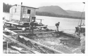 RPPC Brailing Salmon the WSBALCOM Fishing Company Alaska