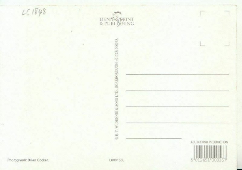 Wales Postcard - Llandudno Pier, Caernarvonshire - Ref 20876A