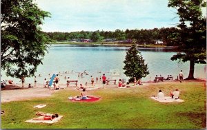 Vtg Harrison Michigan MI Bathing Beach Wilson State Park Postcard