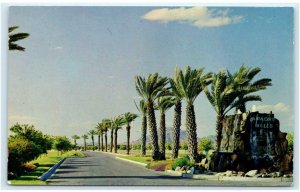 MESA, AZ Arizona ~ Roadside  APACHE WELLS MOBILE CITY c1960s  Postcard