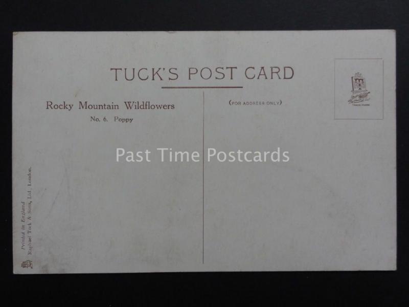 R. Tuck & Sons Poppies Postcard: Rocky Mountain Wildflower - Donation to R.B.L.