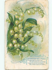 Divided-Back BEAUTIFUL FLOWERS SCENE Great Postcard AA3456