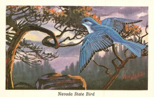 Vintage Postcard State Bird Azure Mountain Blue Song Bird Nevada NE