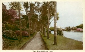 Hand-Colored RPPC Postcard; River Path, Hamilton New Zealand 5328 unposted